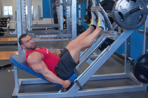 锻炼腿部肌肉力量的器材有哪些