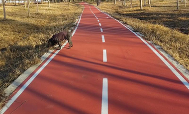 公园健身步道