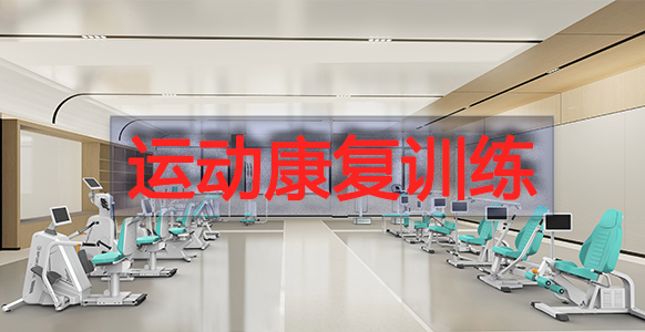 运动康复训练解决方案